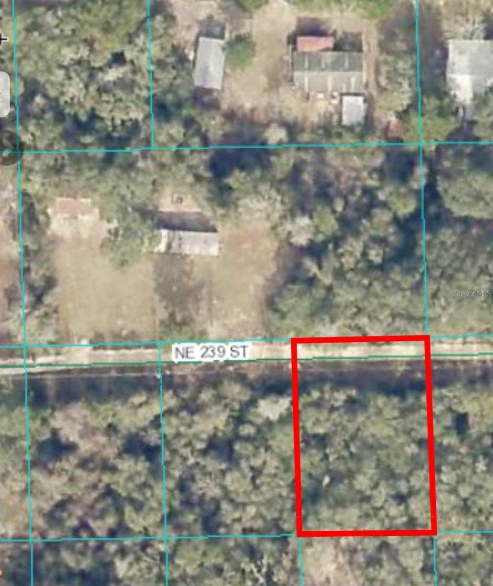 15380 239TH, FORT MC COY, Land,  for sale, Melissa  Lebron, Ocala Realty World - Selling All of Florida